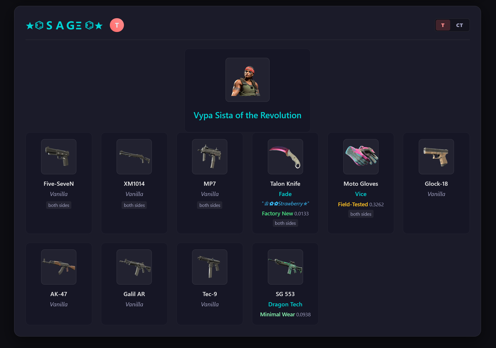 CS2 Demo Viewer — player loadout with agent and weapon skins